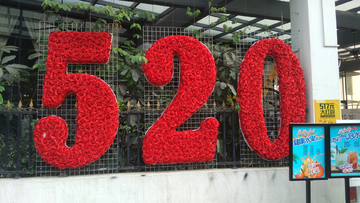 爱情 520