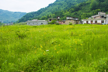 山村 田野