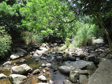 山间小溪