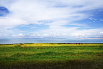 青海湖 高清风光摄影