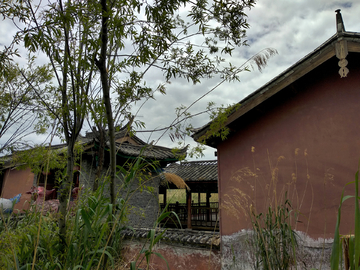 拉市海湿地公园风景