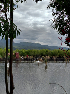 拉市海湿地公园风景