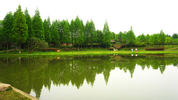 园林生态园风景