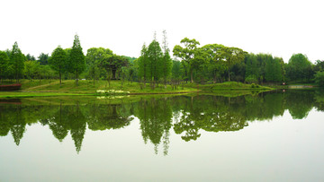 园林生态园风景