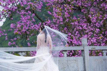 穿白婚纱的新娘