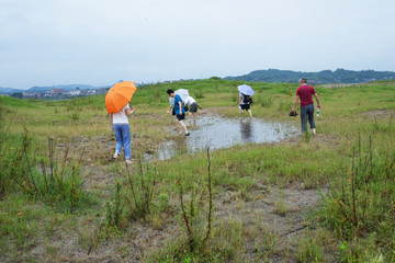 长江风光 草地 草坪 草原旅游