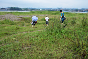 长江风光 草地 草坪 草原旅游