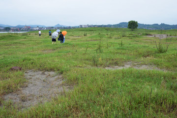 长江风光 草地 草坪 草原旅游