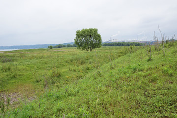 长江风光 草地 草坪