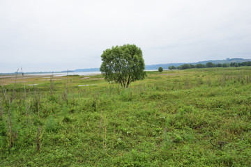 长江风光 草地 草坪