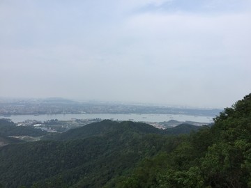 广东省江门大雁山国家森林公园