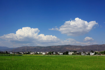 乡村风光 大理风光