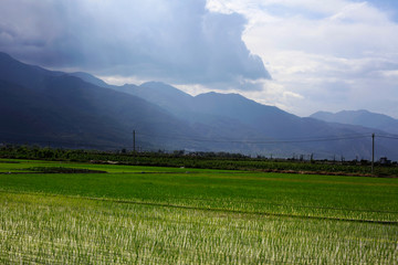 乡村美景 大理风光