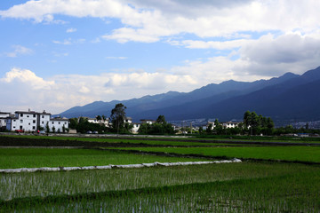 大理风光 乡村美景