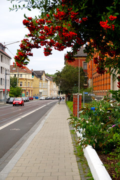 德国布伦瑞克城市街景