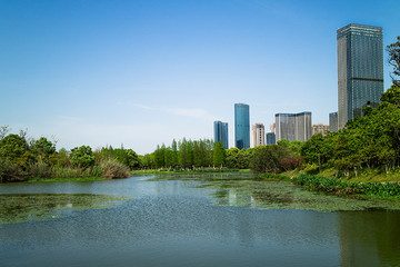 艾溪湖湿地公园