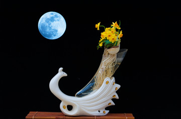 水仙花盆景 超级月亮 蓝月亮