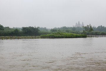 湿地 江南湿地 江南水乡 绿色