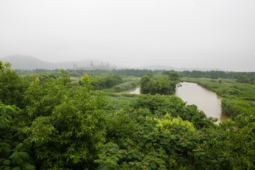 湿地 江南湿地 江南水乡 绿色