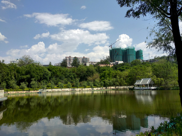 竹湖园公园 湖畔风景