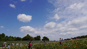 石象湖 花谷