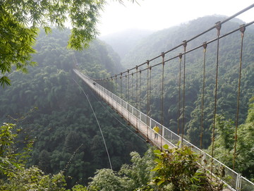 竹海吊桥