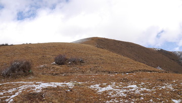 雪域高原