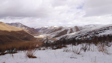 雪域高原