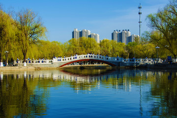 燕山大学燕鸣湖上石桥与建筑群