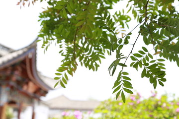 大理特殊建筑