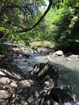 石门国家森林公园山水风景