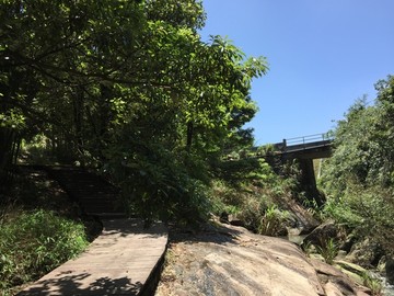 石门国家森林公园山水风景