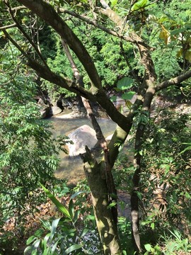 石门国家森林公园山水风景