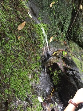 皂幕山青山绿水风景