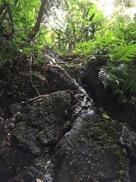 皂幕山青山绿水风景