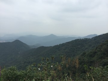 皂幕山青山绿水风景