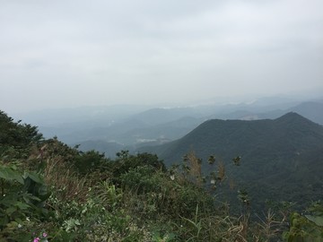 皂幕山青山绿水风景