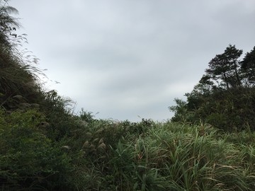 皂幕山青山绿水风景