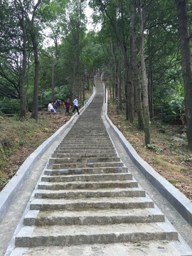 皂幕山阶梯风景