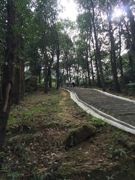 皂幕山青山绿水风景