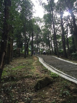 皂幕山青山绿水风景