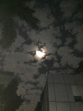 十五中秋节的月亮