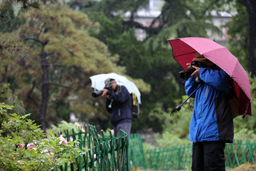 雨中摄影师