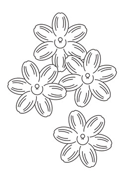 迎春花