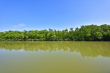 广州南沙湿地公园