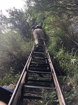 中虎跳峡天梯