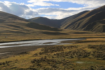 高原 牧场