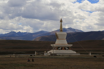 高原 牧场