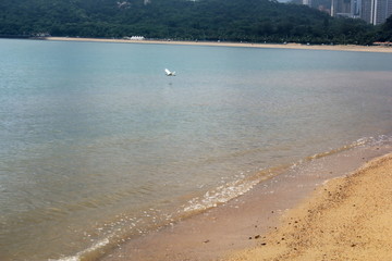 沙滩