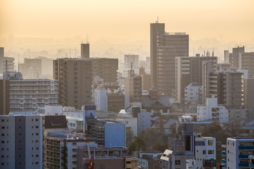 日本大阪